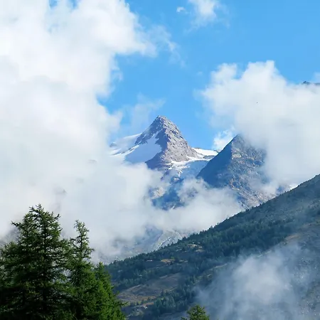 Bergfink Appartement-fewo 8-bettwohnung Nr- 1 By Interhome Appartamento Saas-Fee